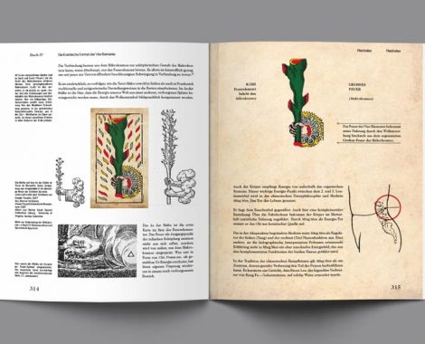 Ausschnitt aus dem Buch Mockup Die Magie der Vier Elemente im Tarotspiel der Renaissance Hardcover, der Stab